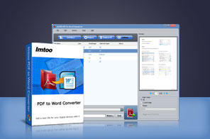 ImTOO PDF to Word Converter
